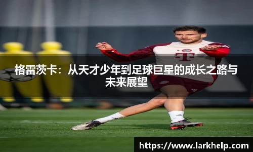 乐发Vll彩票官方